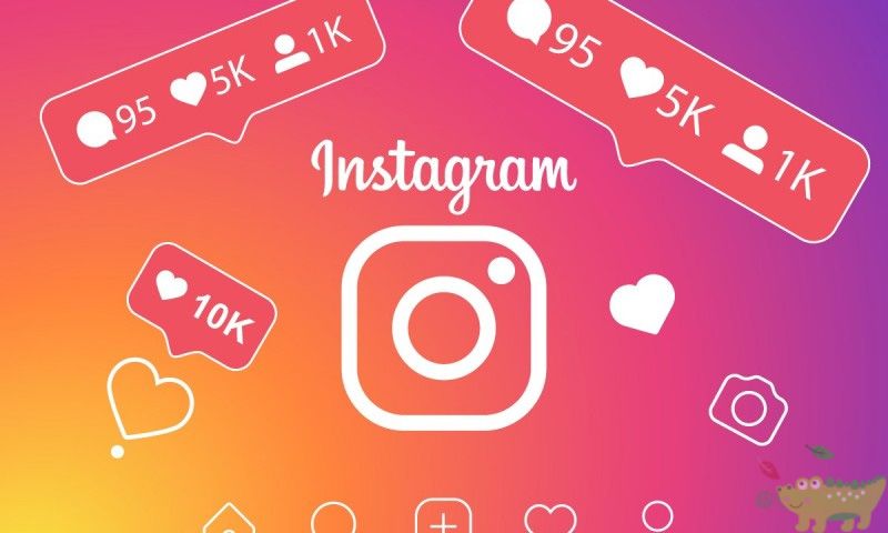 Cách sử dụng dịch vụ mua follow instagram của AMAI TEAM