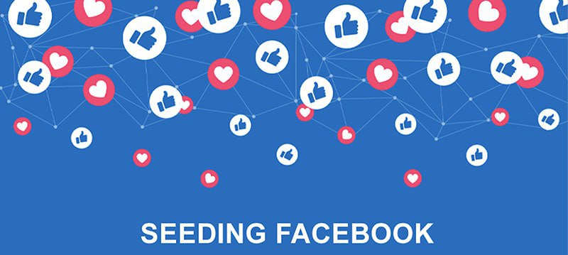 Tiến hành hình thức Seeding Facebook