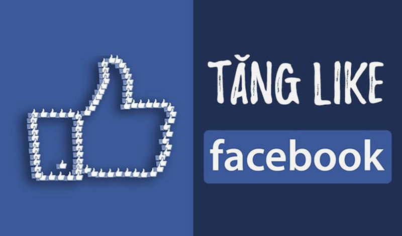 Amaiteam - Don vi cung cap dich vu tang like Facebook