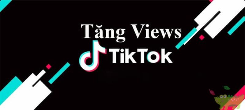 Bạn muốn video TikTok của mình được nhiều người xem hơn? Dịch vụ tăng view là giải pháp 