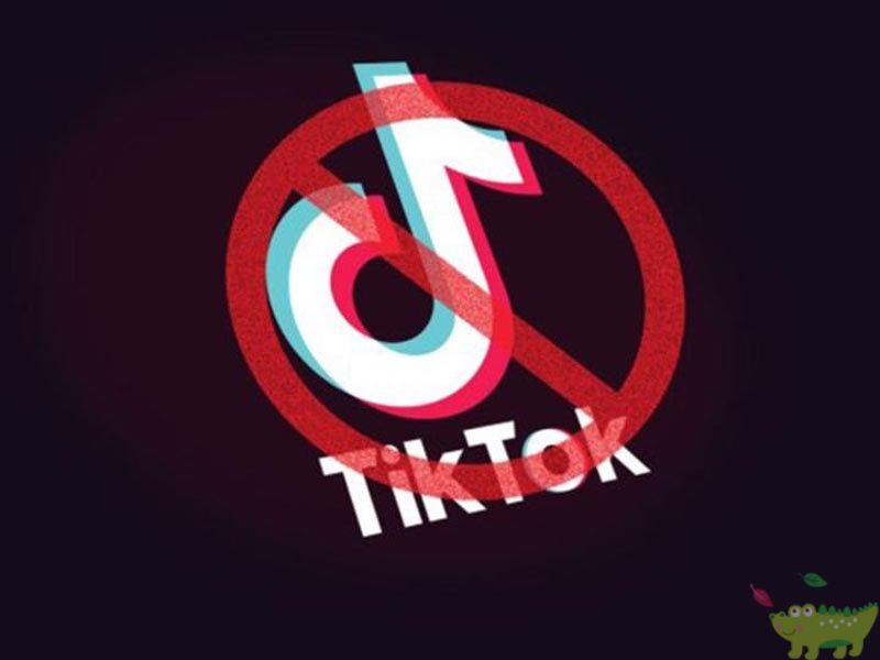 Cần tuân thủ các quy định và chính sách của TikTok