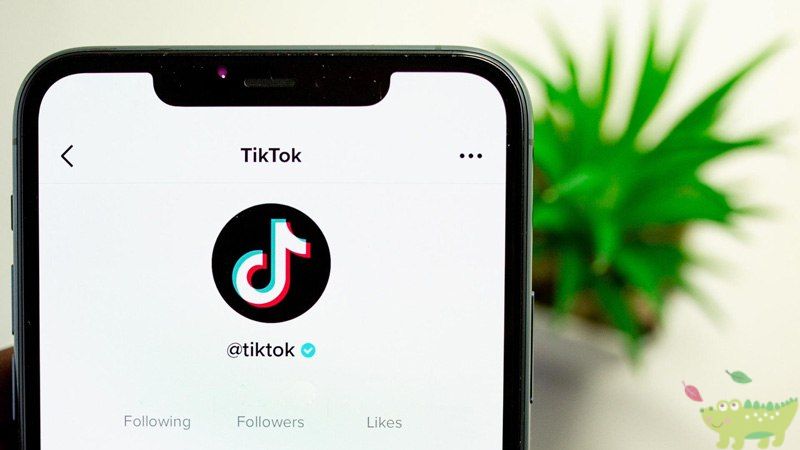 Lưu ý khi tải video TikTok không dính logo