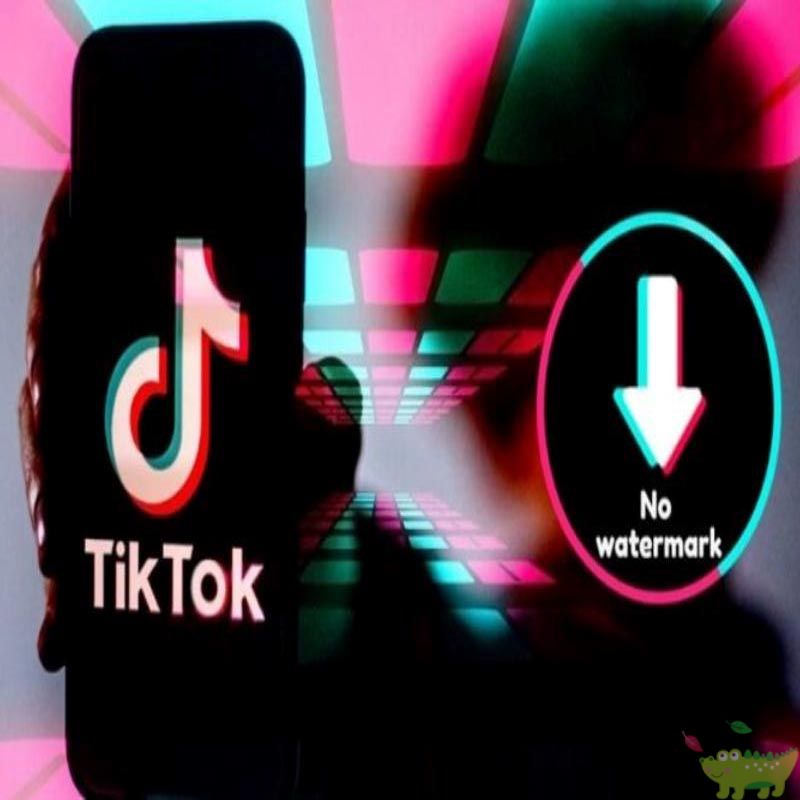 Lưu ảnh TikTok không logo với SSSTikTok