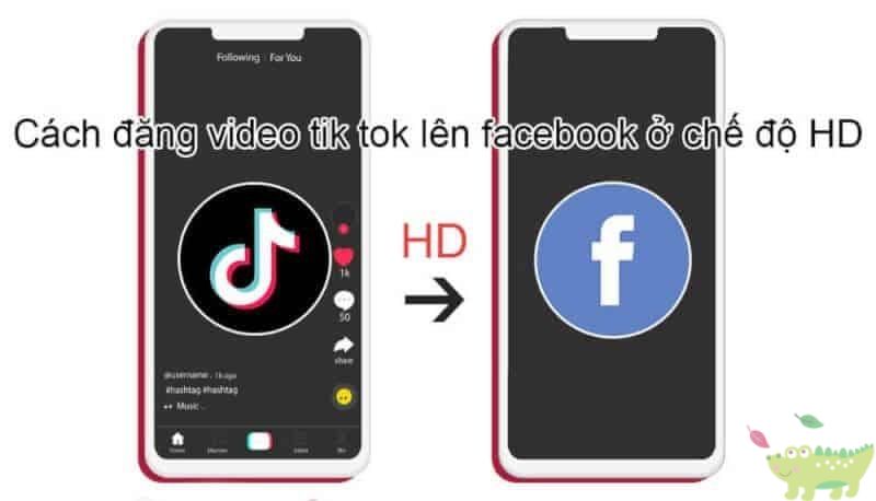 Lý do nên chia sẻ video TikTok lên Facebook