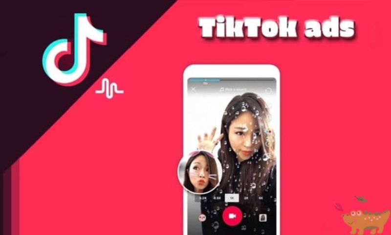Tài khoản cá nhân (Self-Serve) trong dịch vụ TikTok ADS