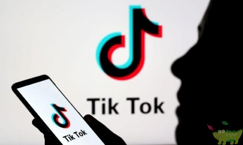 Vi phạm bản quyền TikTok là gì