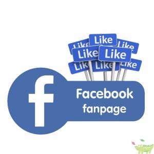 Hack like Fanpgae Facebook