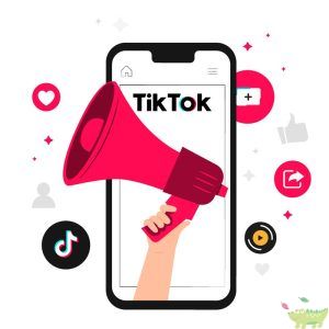 Dịch vụ tăng tương tác TikTok
